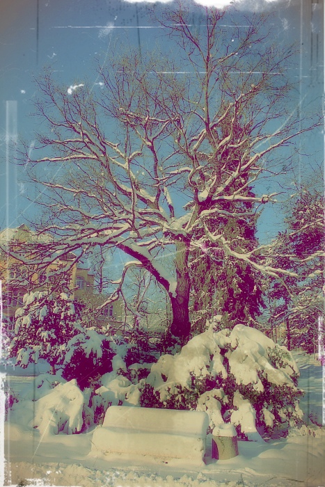 © Tigran Biface Lorsabyan - //