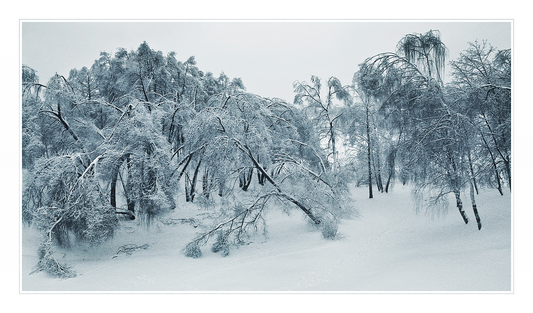 © Oleg Dmitriev - зимушка-зима