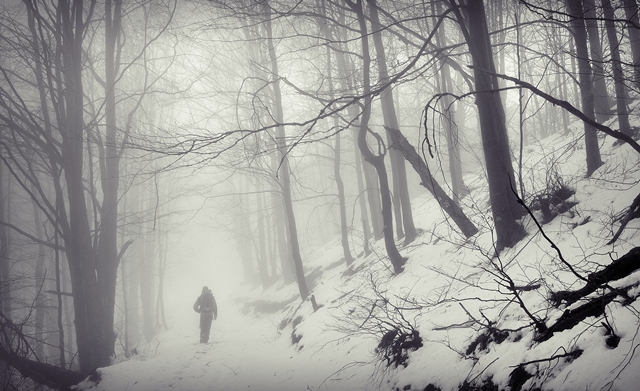 © Tamas Valentin Nicolae - through  the mist
