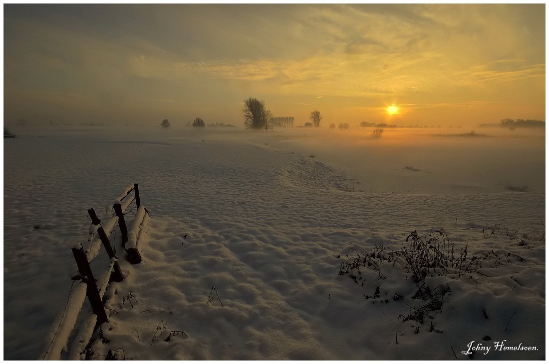 © johny hemelsoen - Foggy wintermorning.