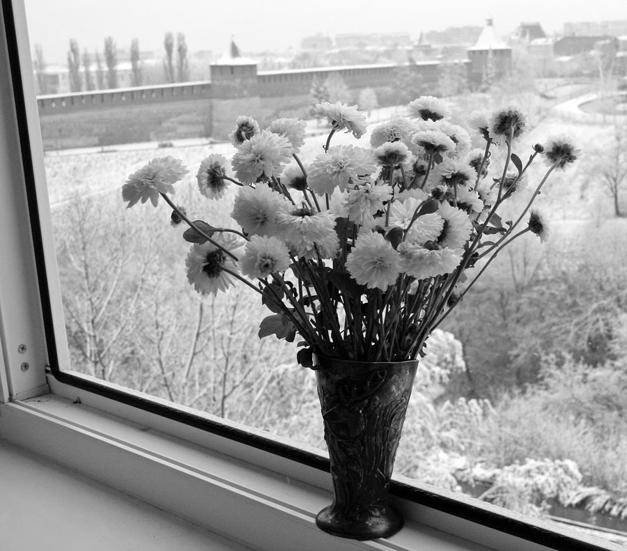 © анатолий чепела - поздние цветы