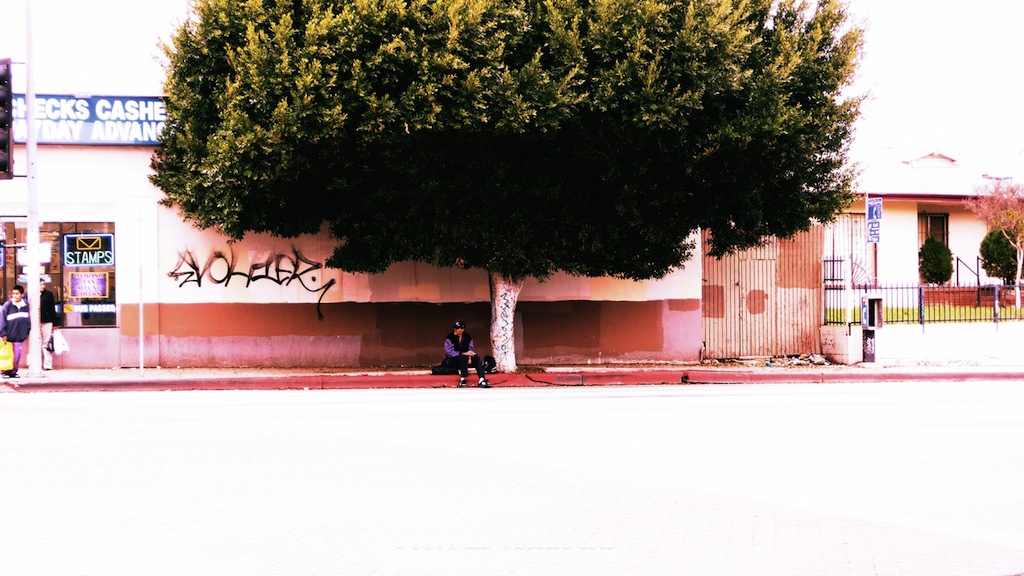 © Yuri Reese - Guy Sitting Under Tree