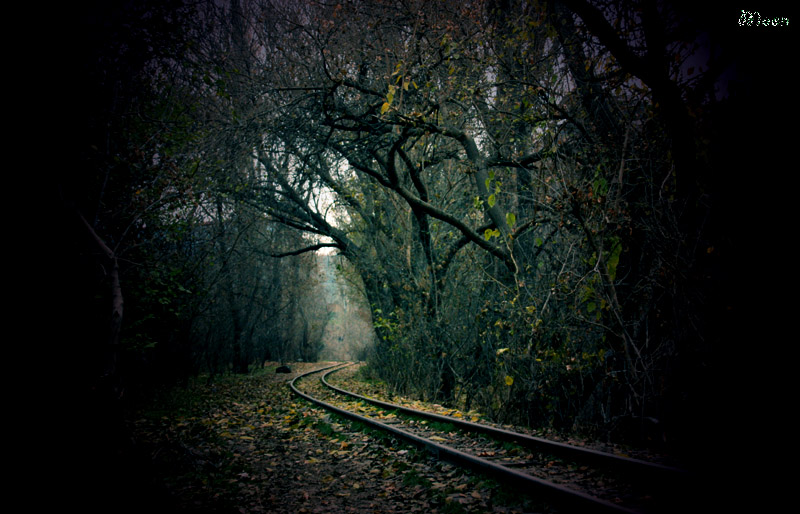© Lusin Paravyan - Railway