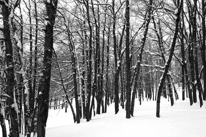 © vahagn petrosyan - Зима