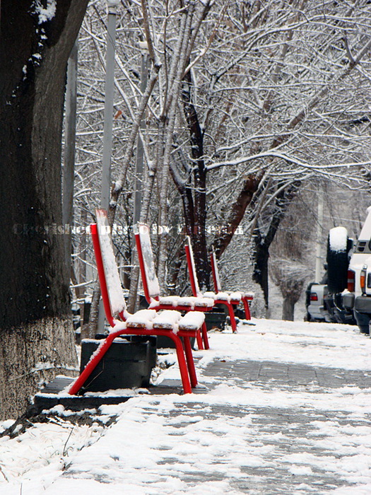 © Eugenia Cherished - Red benches in snow
