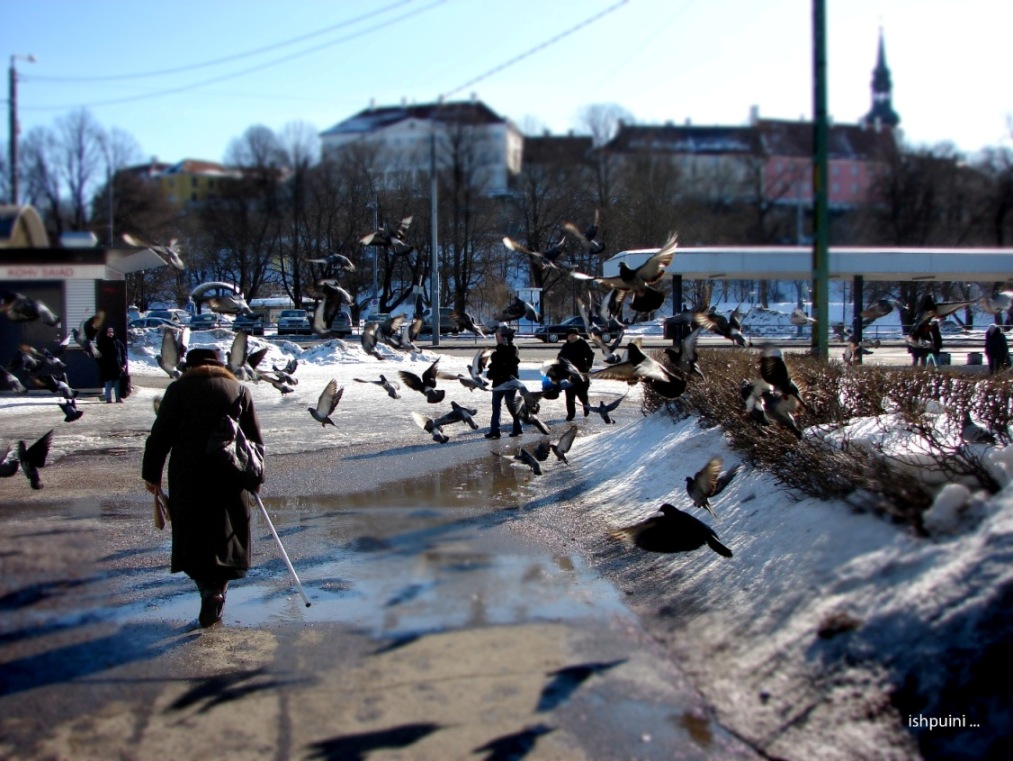 © Tigran Kuchatyan - Tallinn in peace