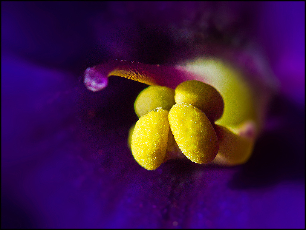 © Børre Eirik Helgerud - Easter nuts