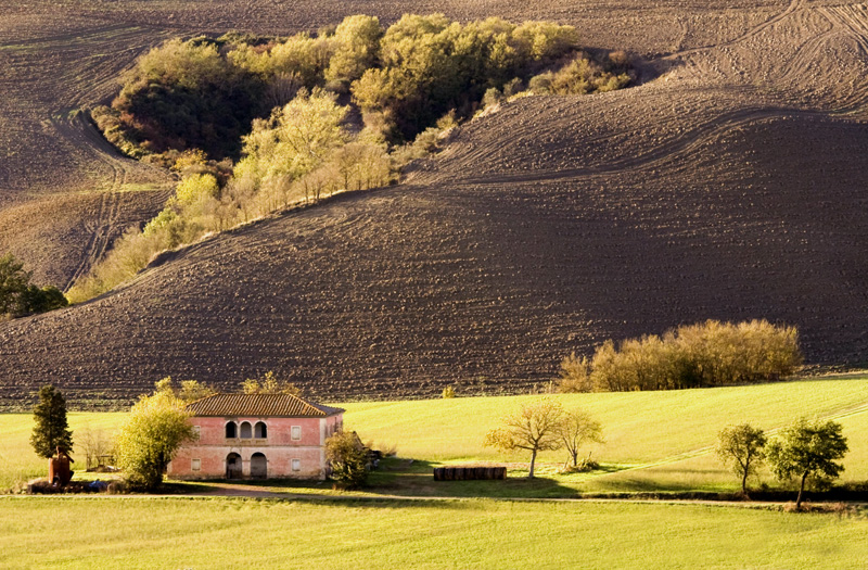 © Luciano Caturegli - buon