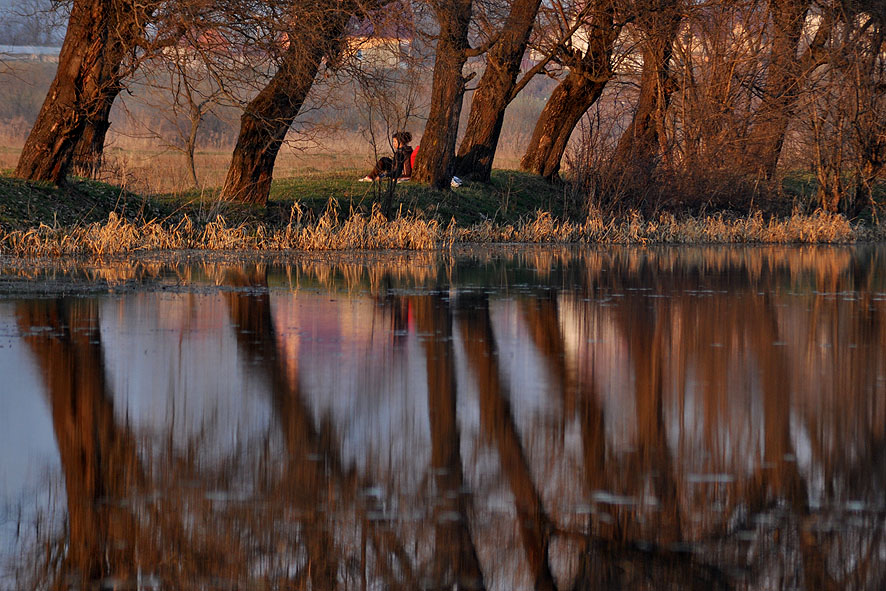 © moldovan marin - *,*