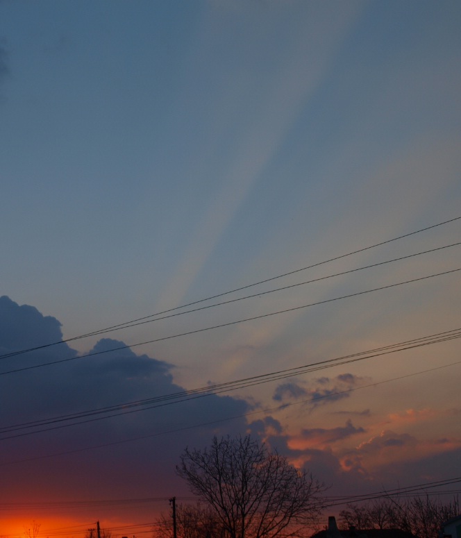 © Andrea Horváth - Sunset