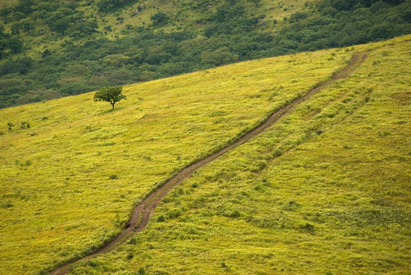 © Dmitry S. Marshavin - reserve roads