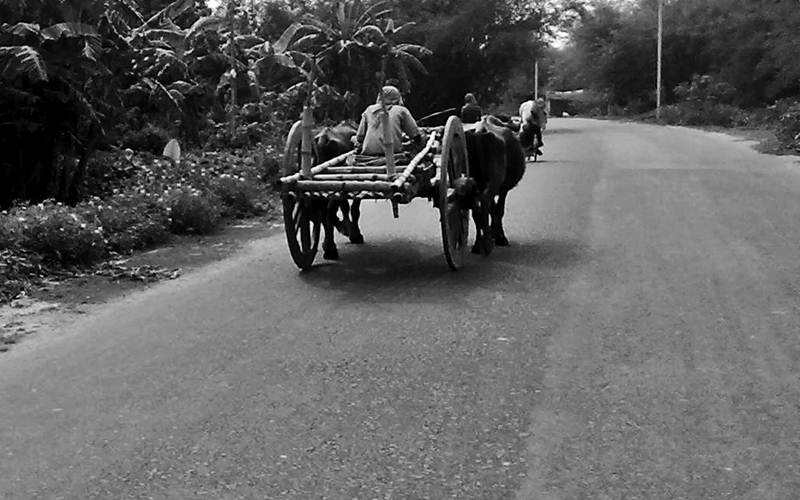 © Saurav Bhattacharyya - village there i go