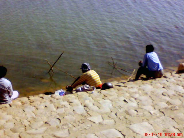 © aarti dhiman - fishing