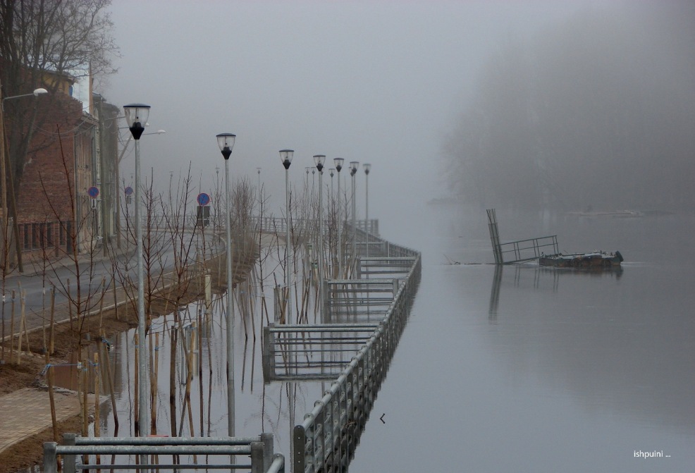 © Tigran Kuchatyan - Tartu : main river vanishing in mist of early morning (2)