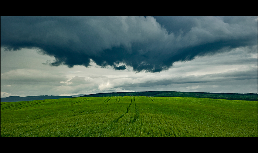 © Leonard Petraru - coming storm