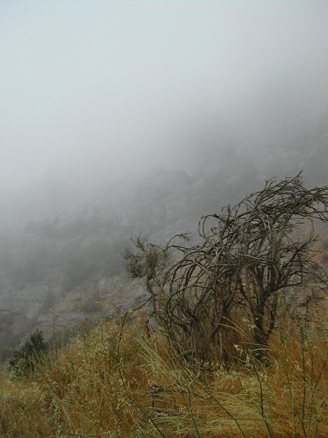 © MyaBe - Fog in Gorge de Loup (south france)