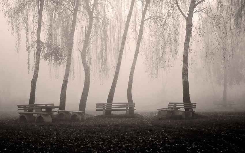 © Leonard Petraru - ...mist...