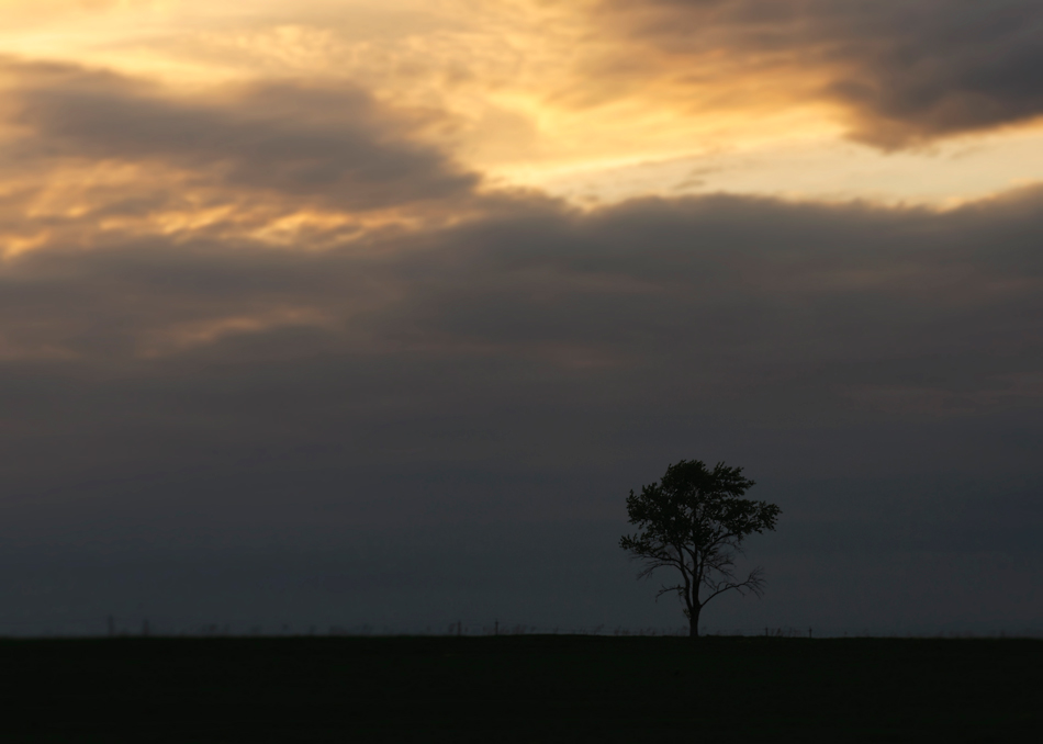 © Александр Лузин - Loneliness...