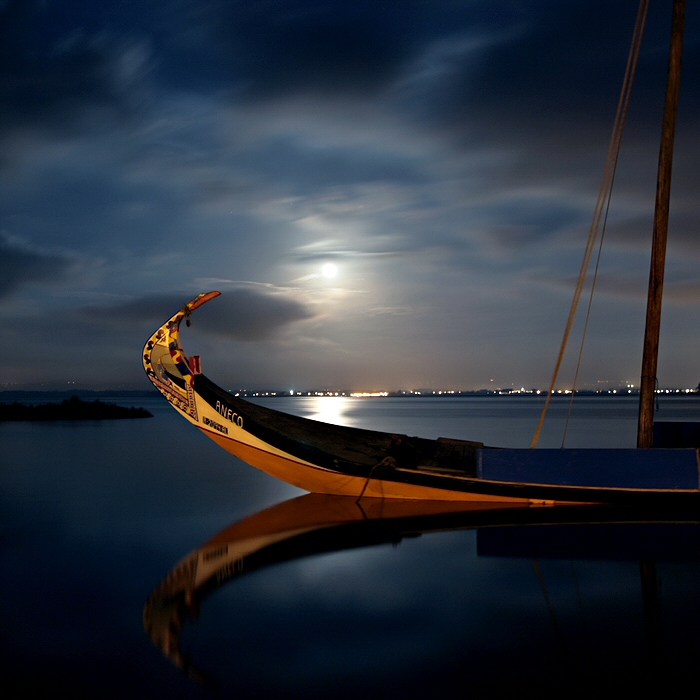 © F. Monteiro - At moonlight