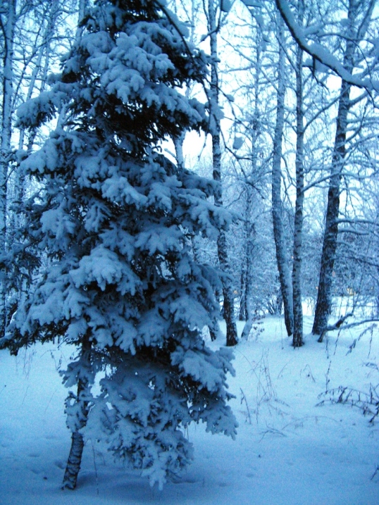 © Anna Bukina - WINTER IN SIBERIA