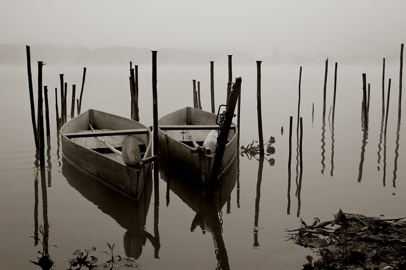 © F. Monteiro - By the lake
