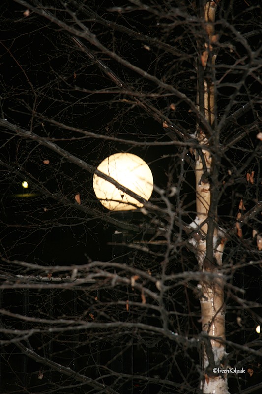 © Ireen Kolpak - night, street...