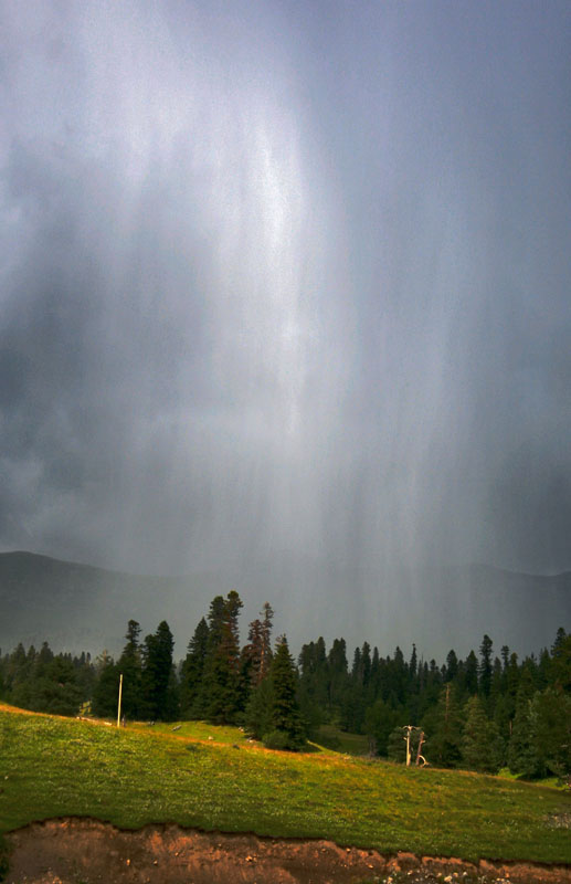 © alexej pavelchak - Rain is coming