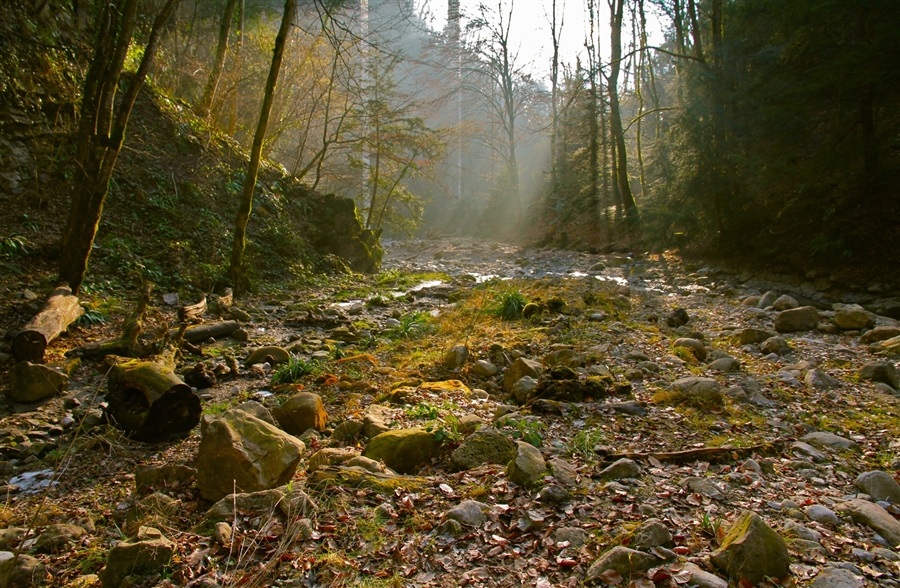 © Kate Velichko - Dried river in spring