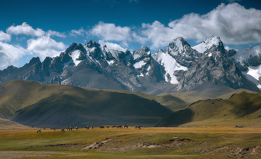 © Constantine Kikvidze - nature of Central Asia