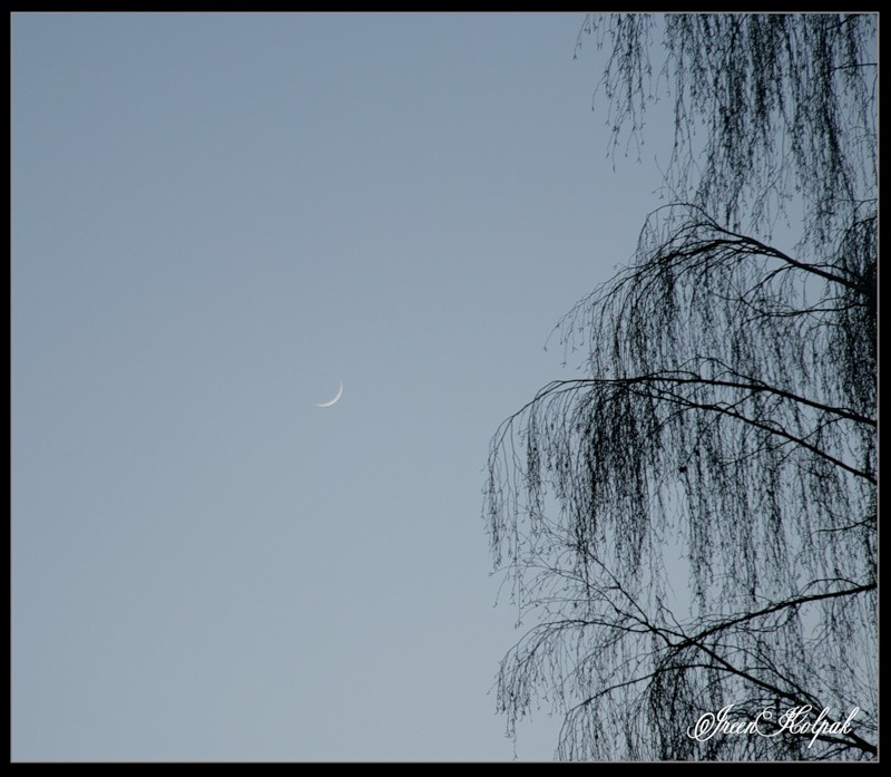© Ireen Kolpak - lonely moon in the sky...