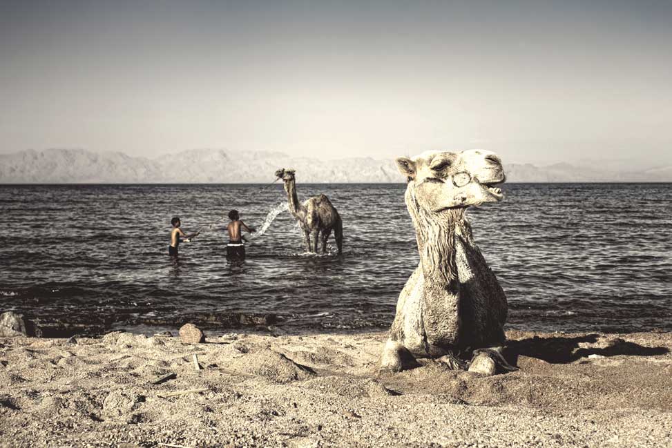 © HOREN STALBE - Camels and boys