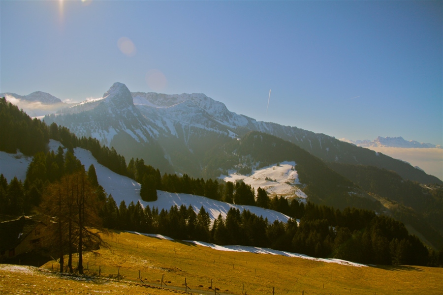 © Kate Velichko - the beauty of a new day in the Alps..