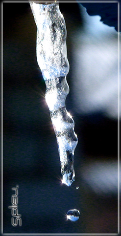 © Sergey Pliev - droplet tall ice