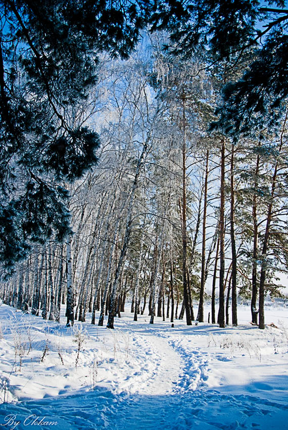 © Alexey Marchenko - Winter view