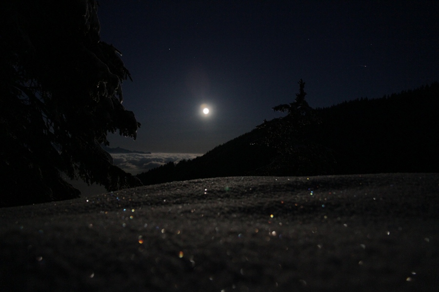 © Kate Velichko - Winter night in the mountains