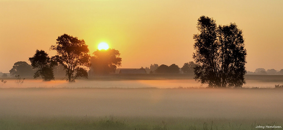 © johny hemelsoen - Carpet of fog.