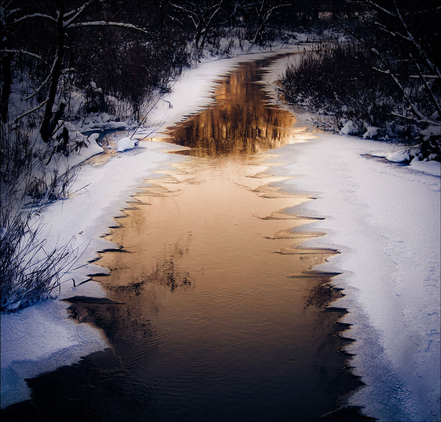 © Denis Voronin - teeth