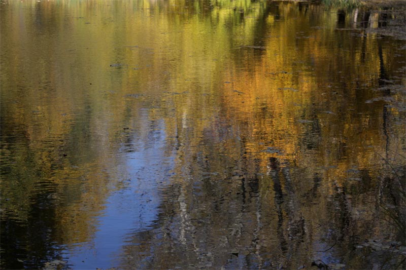© Анатолий Семёнов - Отражение осени...Reflection of autumn...