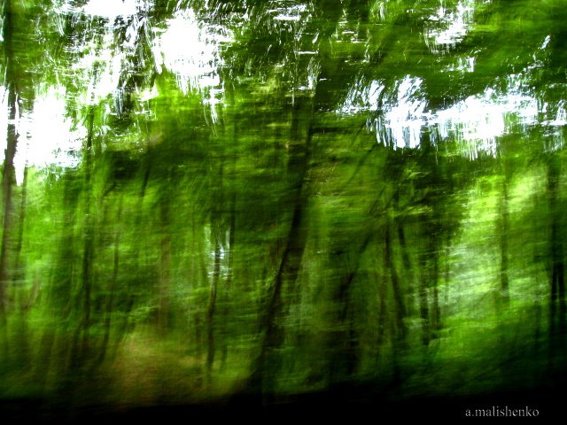 © Albina Malishenko - Мой лес