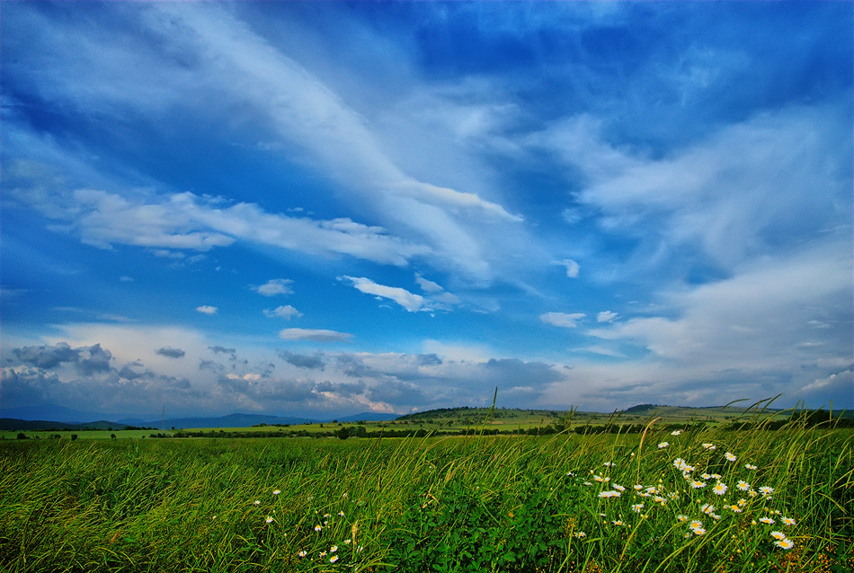 © Liubomir Gorsky - Summer