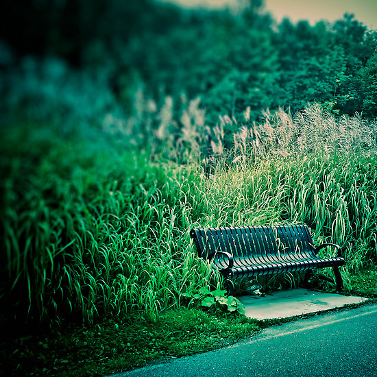 © Jean-Francois Dupuis - Bench