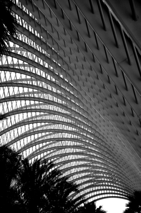 © ONOFF  ( Antonio ) - CALATRAVA II