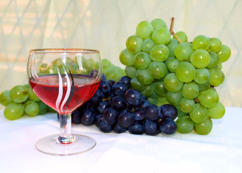 © Andrea Horváth - Wine and grape