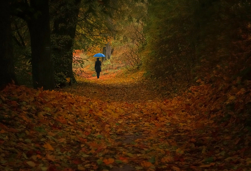 © Magdalena Szurek - Polish Autumn II