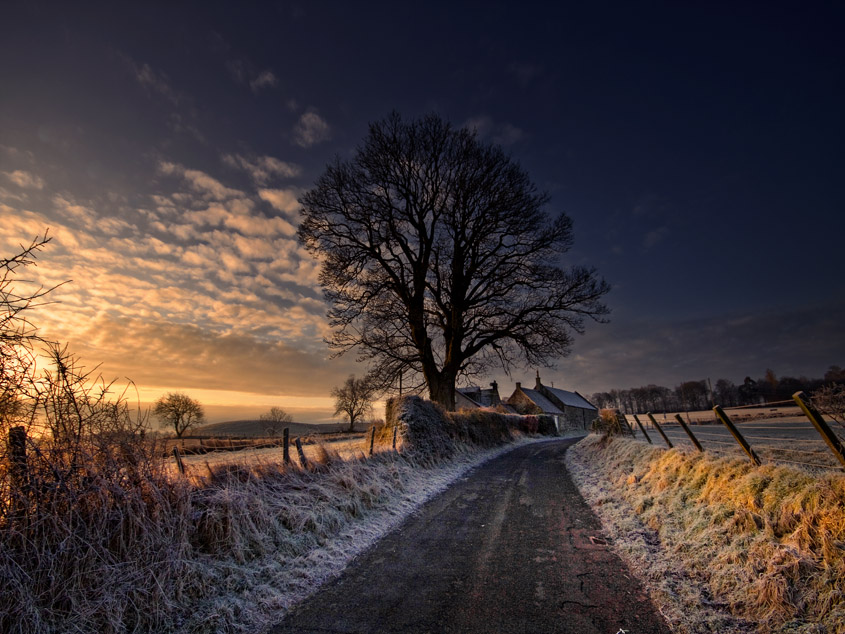 © Arnold Ochman - Morning frost