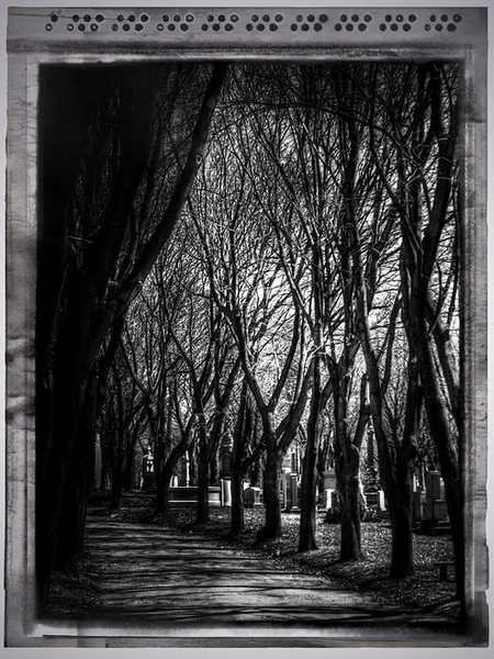 © Jean-Francois Dupuis - Cemetery