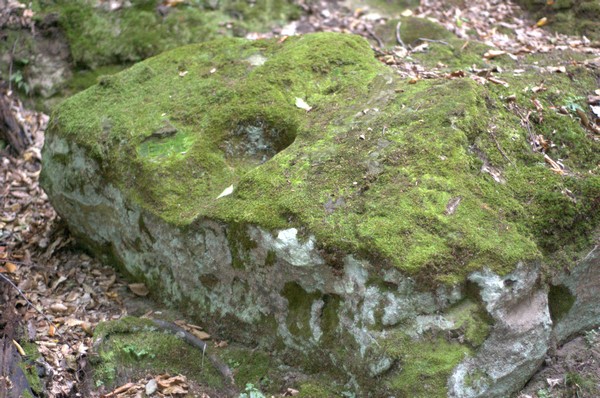 © Julija Kotsuba - Замшелый камень в форме головы ящерицы.