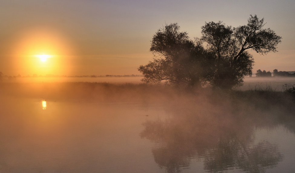 © johny hemelsoen - Foggy morning.