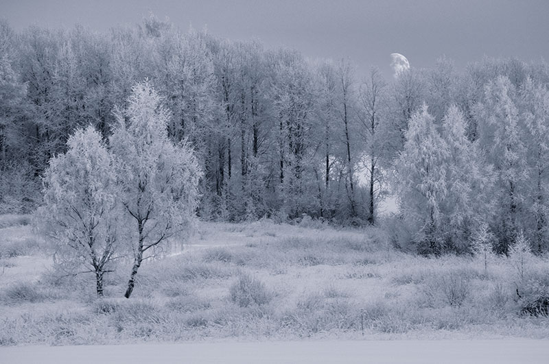 © Elena Belozorova - Winter twilight.