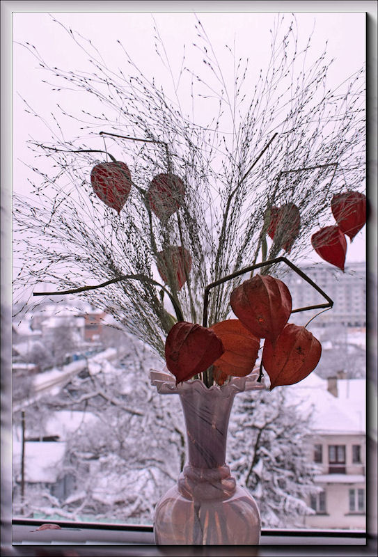 © Nonna Belonozko - Winter bouquet